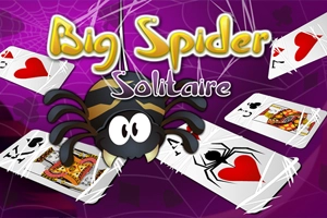 Großes Spider Solitaire